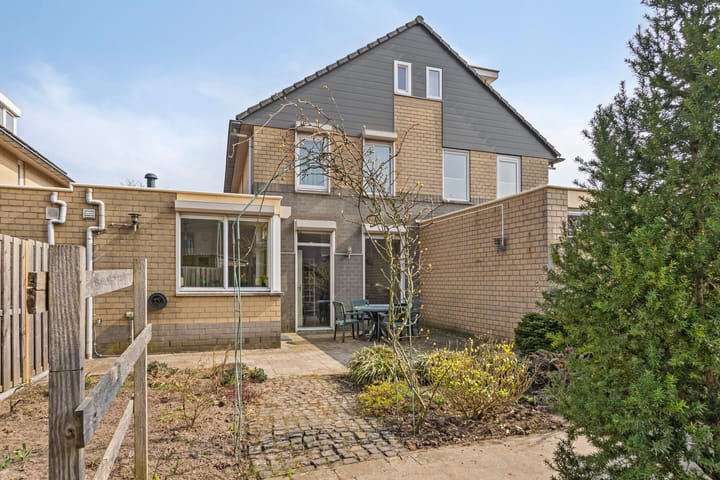 Foto 25 van Paardebloem 42