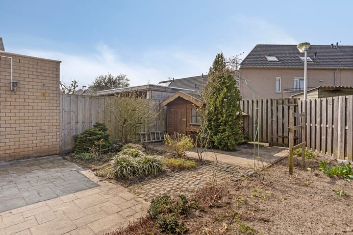 Foto 27 van Paardebloem 42