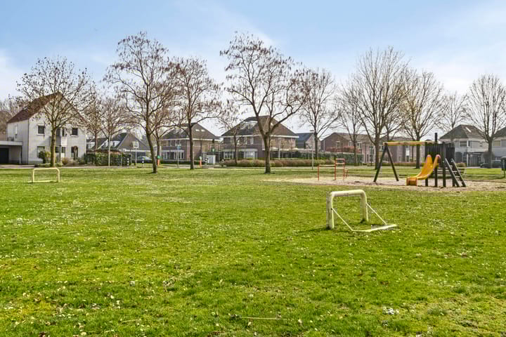 Foto 30 van Paardebloem 42