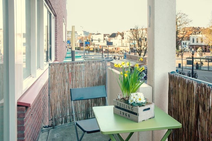 Photo 6 of Soeverein 46