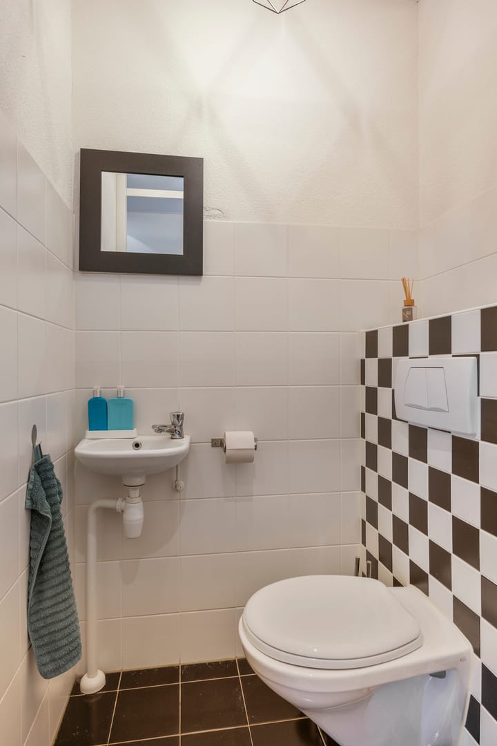 Photo 8 of Soeverein 46