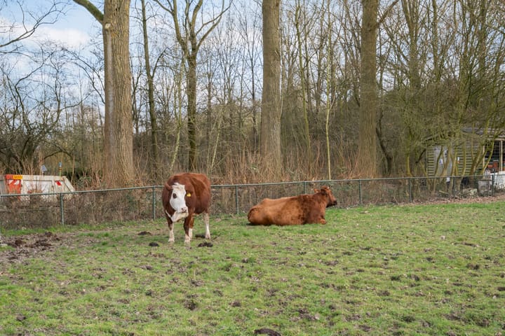 Foto 26 van Salland 2