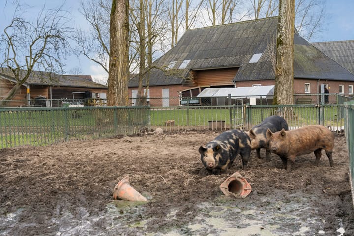 Foto 27 van Salland 2