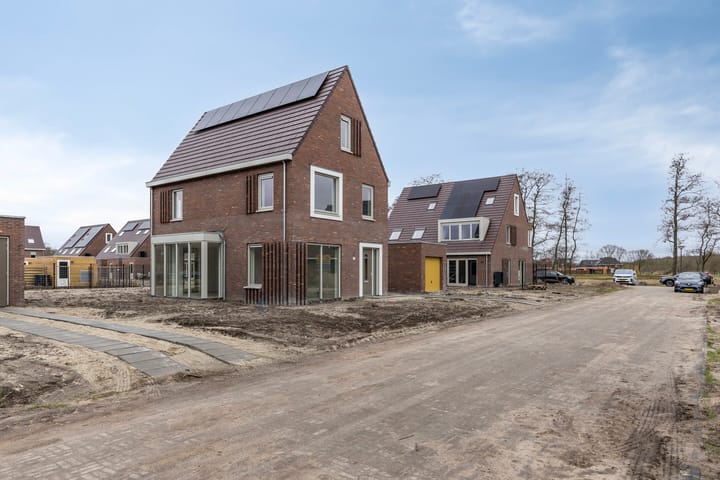 Photo 2 of Boterbloem 27