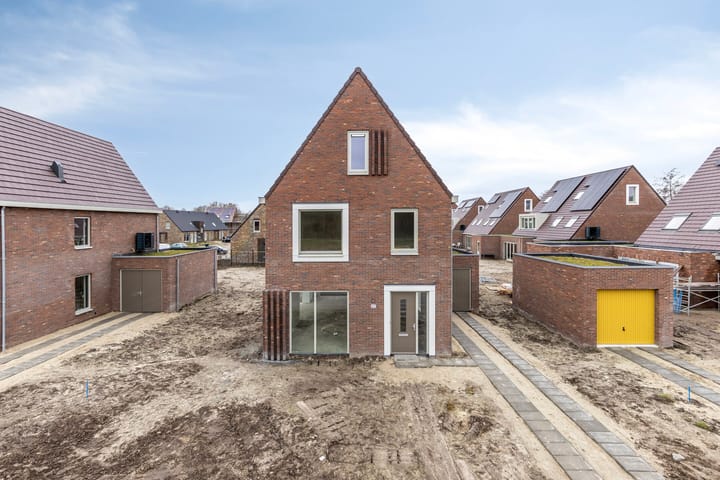 Photo 3 of Boterbloem 27