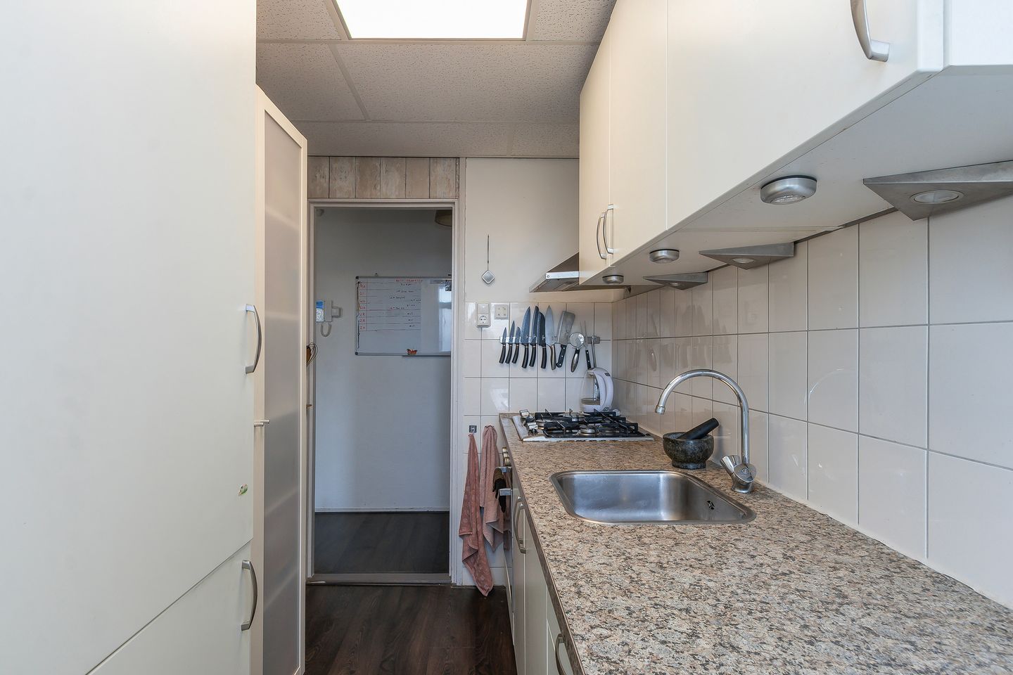 Foto 5 van Troelstraweg 40