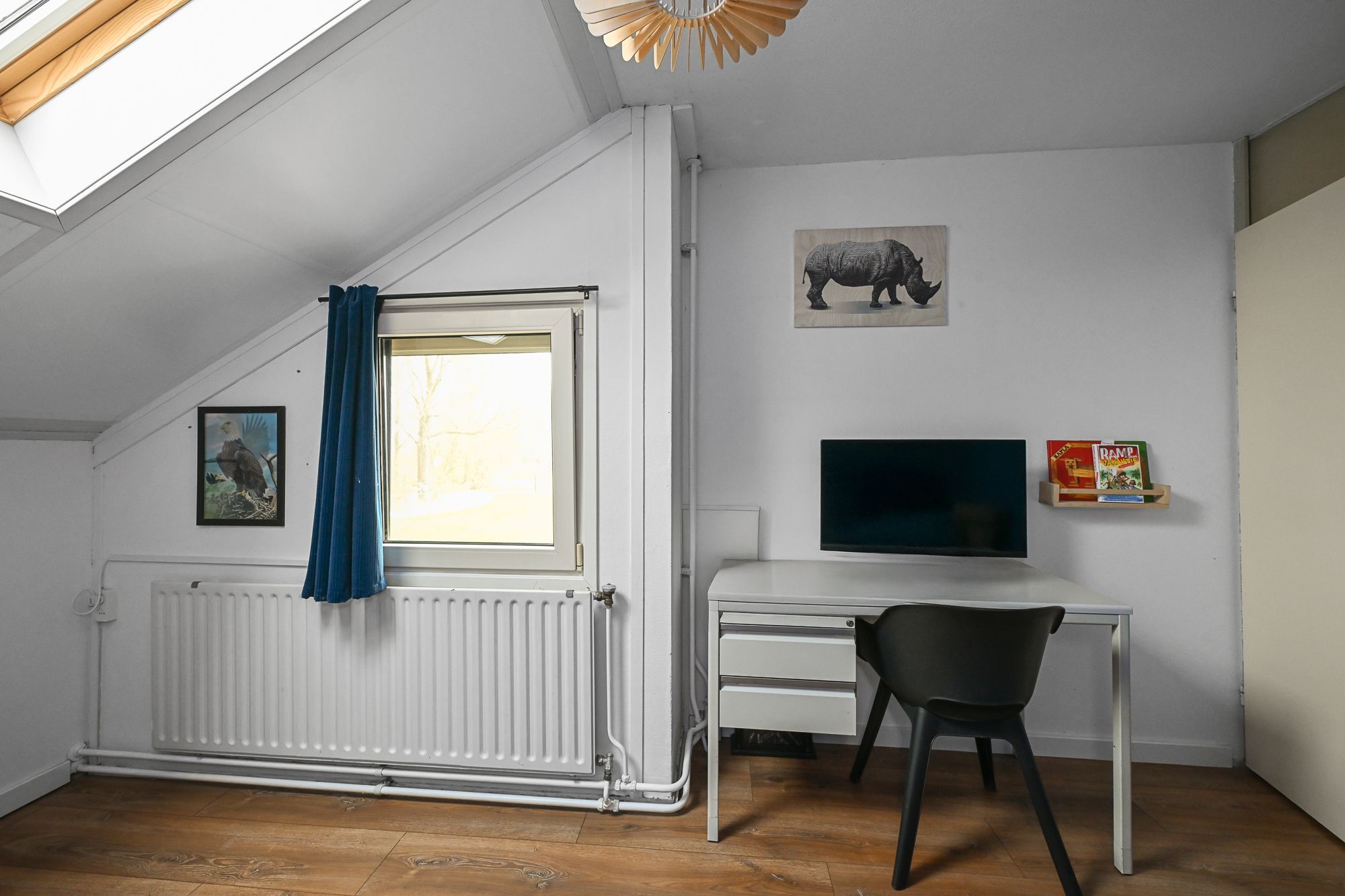 Foto 18 van Loodglans 58