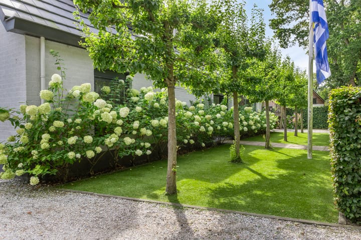 Foto 50 van Vroonweg 12-A