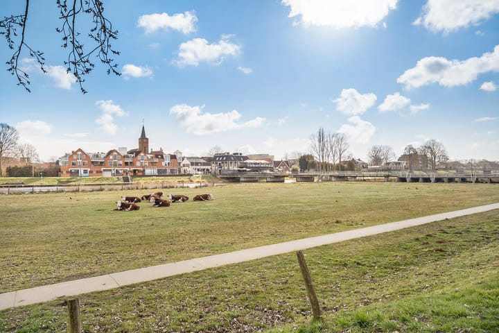 Foto 36 van Meeuwenstraat 10