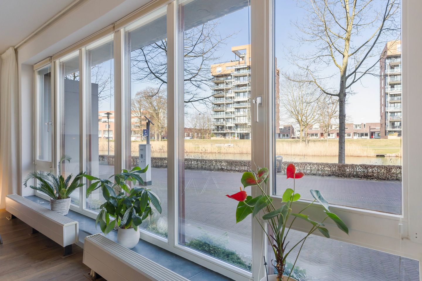 Photo 5 of Stadskade 224