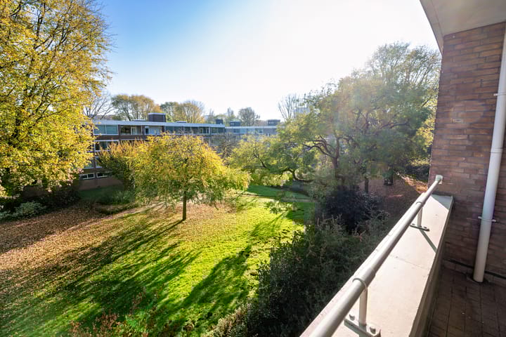 Foto 8 van Kiefskamp 17