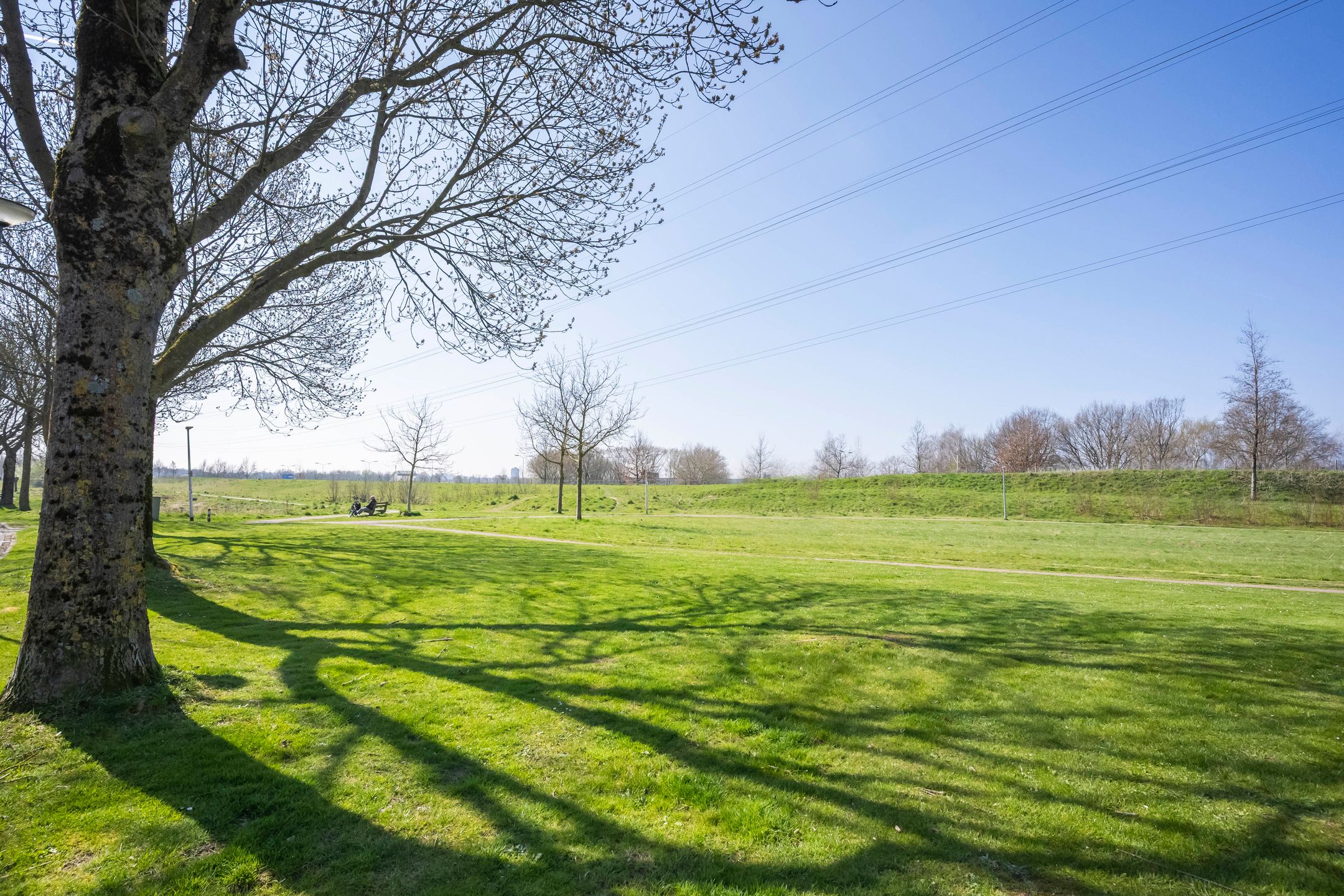 Foto 27 van Kennedyplantsoen 31