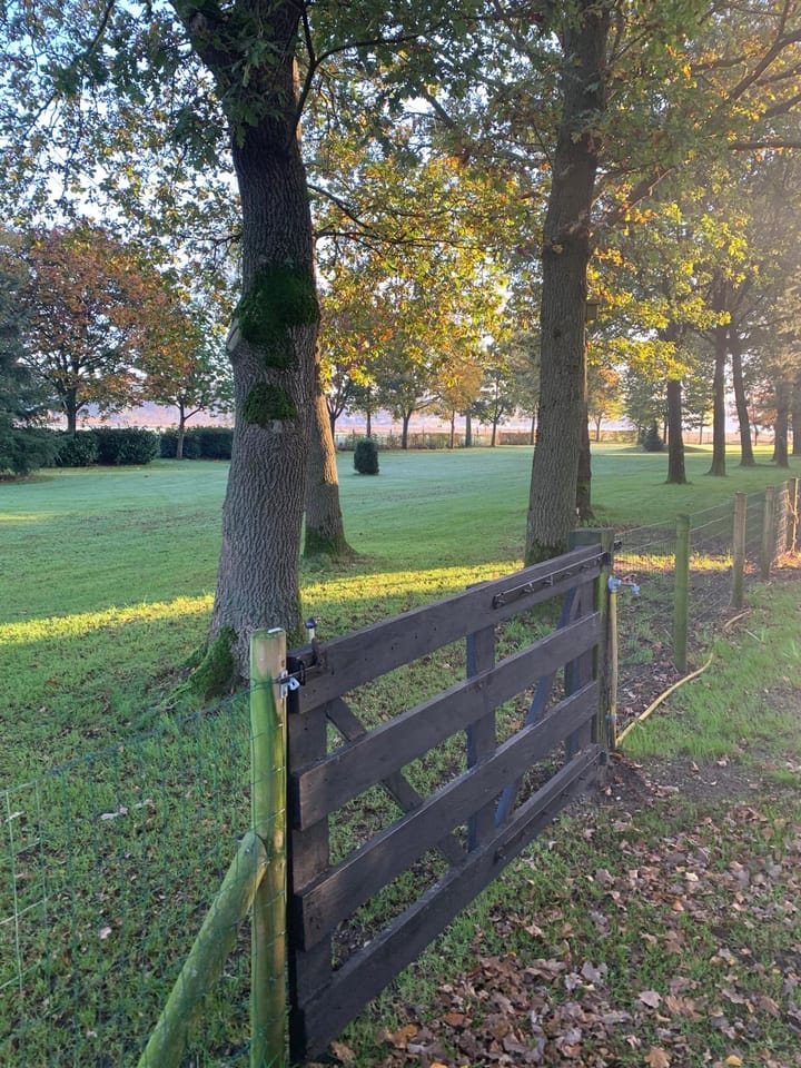 Foto 8 van Hullenkampweg 33