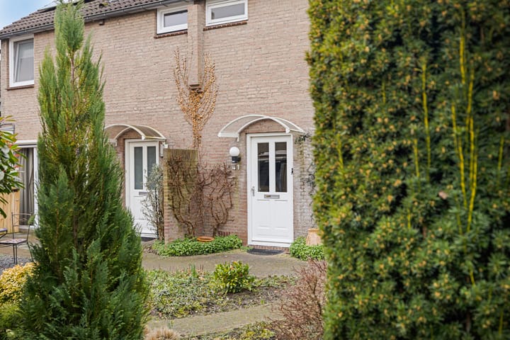 Foto 49 van het Bijltje 41