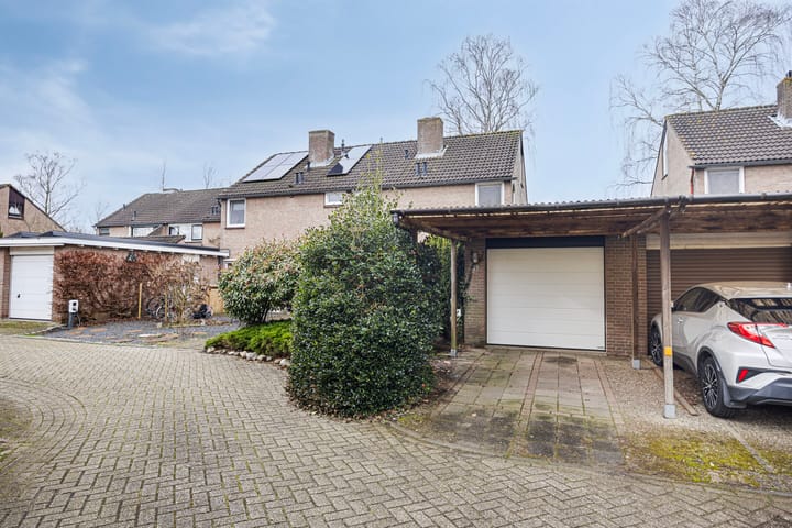 Foto 50 van het Bijltje 41