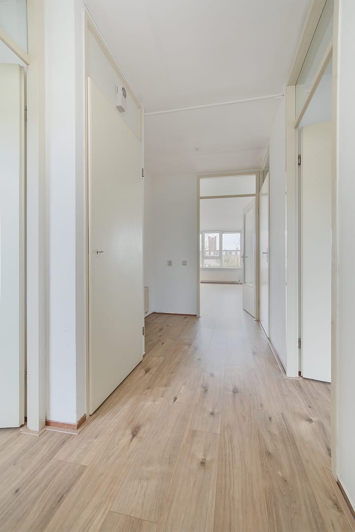 Foto 5 van IJmeer 39