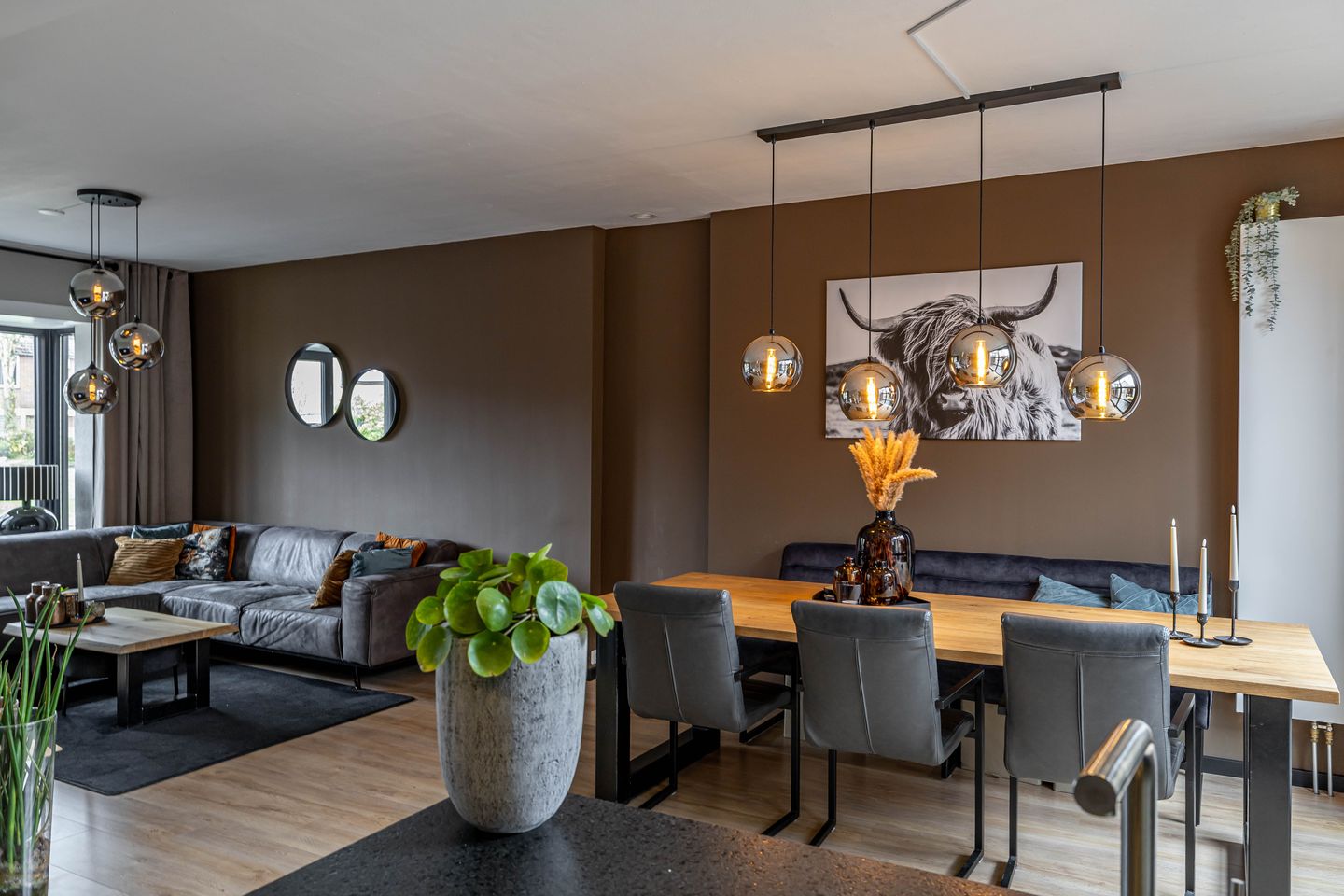 Photo 20 of Hofakkers 50