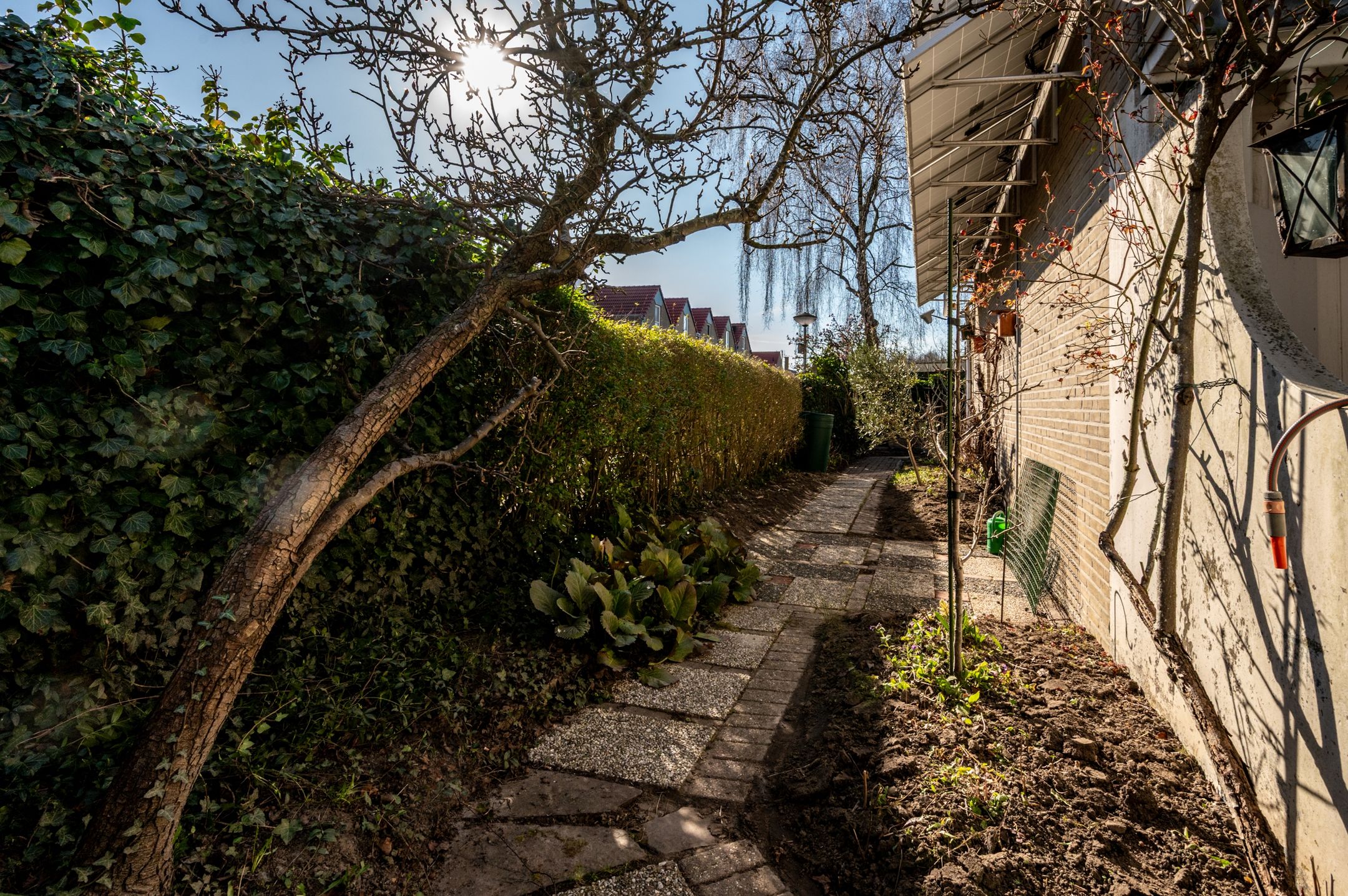 Foto 54 van Karveel 51 53