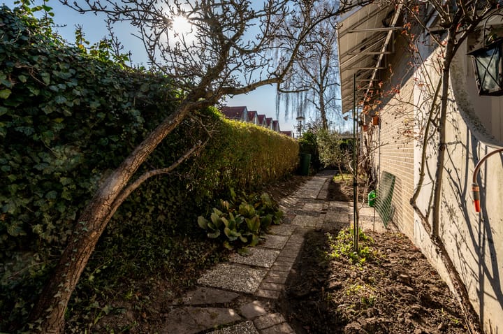 Foto 54 van Karveel 51 53