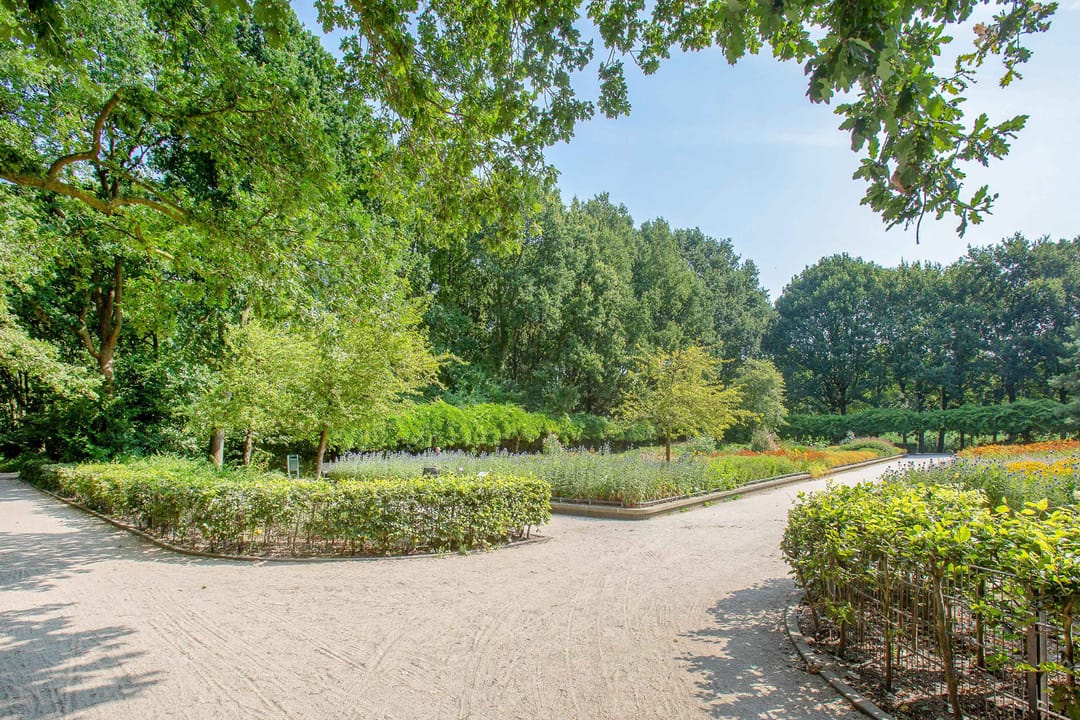 Photo 16 of Vespuccistraat 85-3