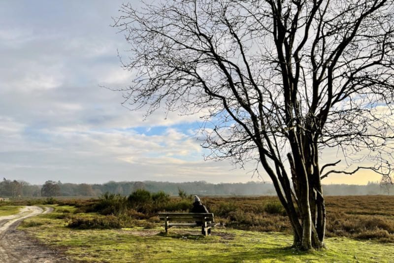 Photo 15 of Van Erven Dorenspark 33