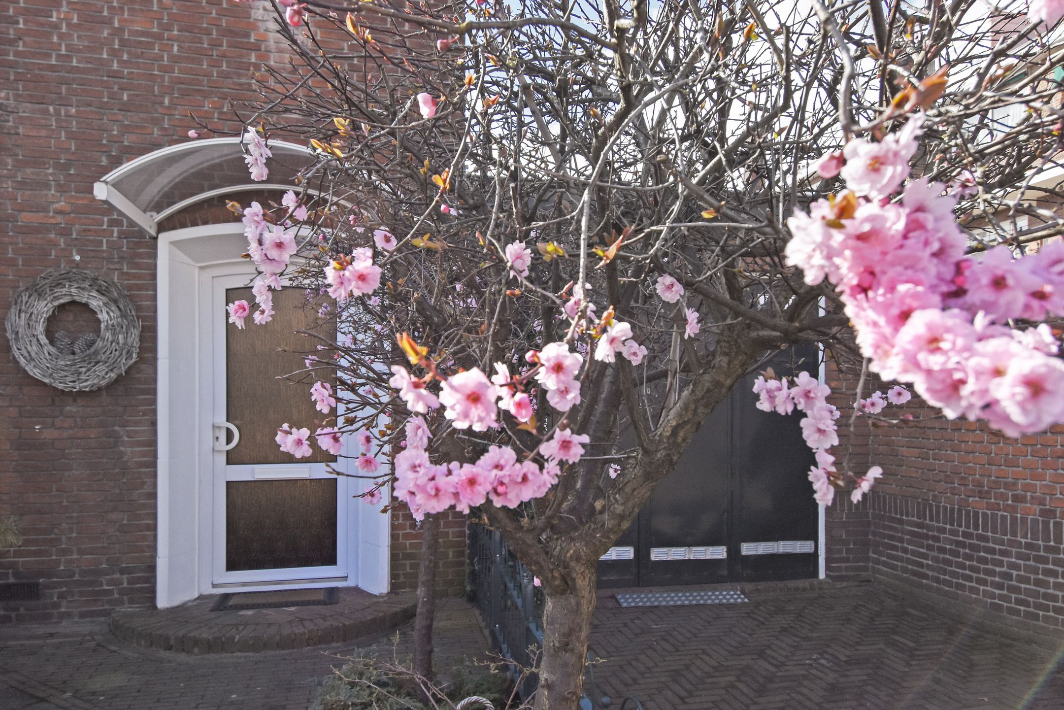 Foto 45 van Polsbroekstraat 51