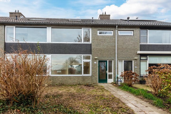 Buizerdstraat 63