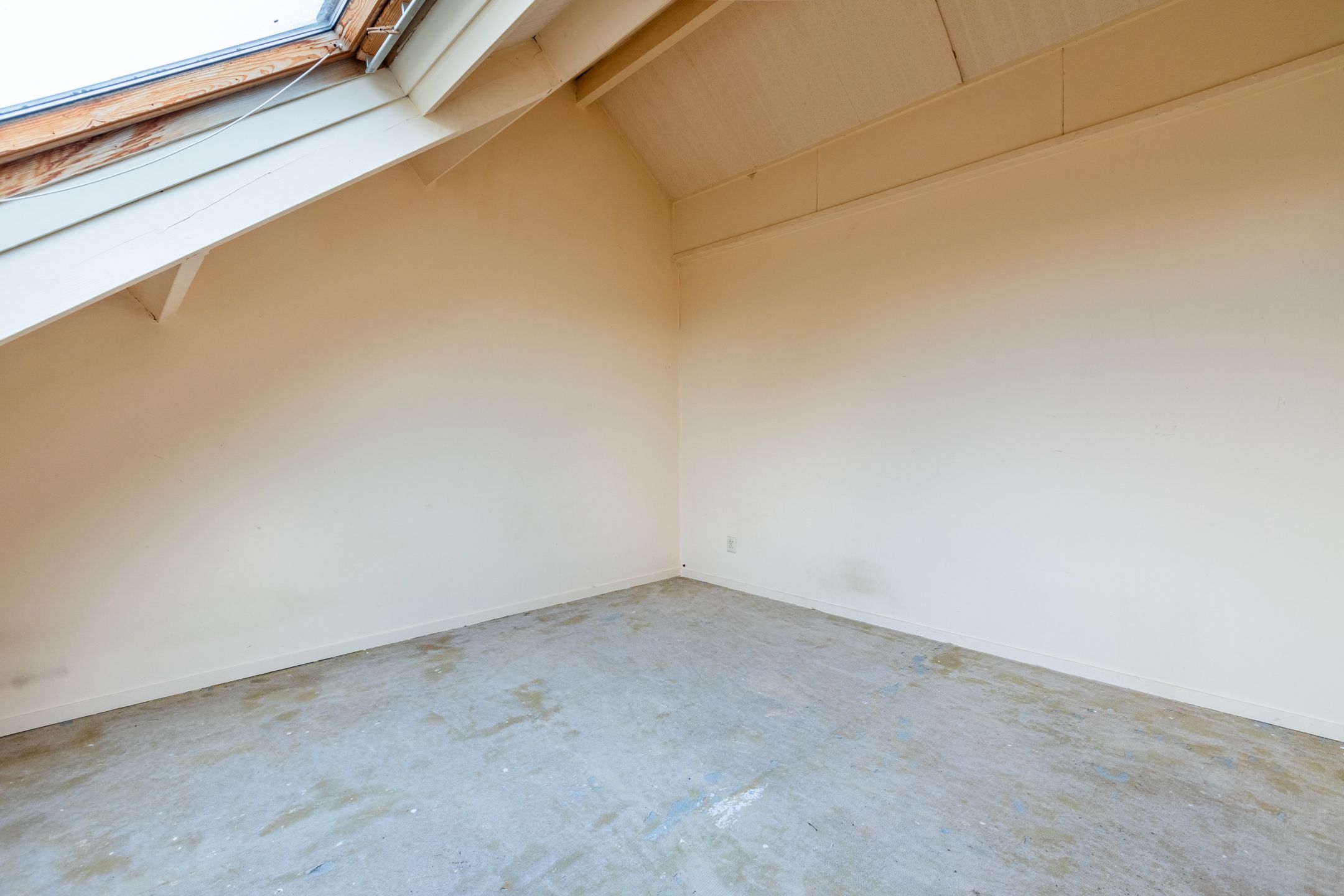 Foto 36 van Buizerdstraat 63