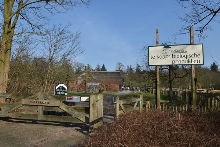 Foto 56 van Het Carré 53