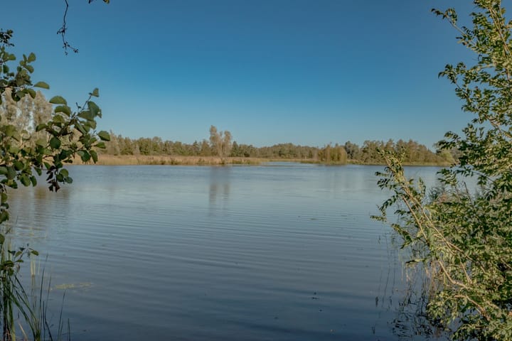 Foto 7 van Molenweg 3