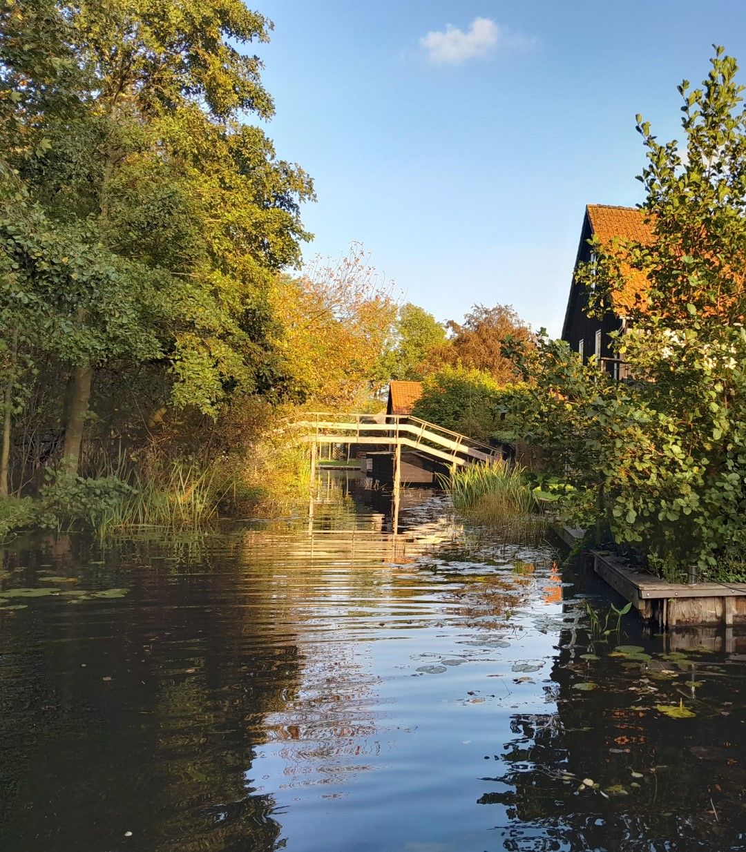 Foto 26 van Molenweg 3