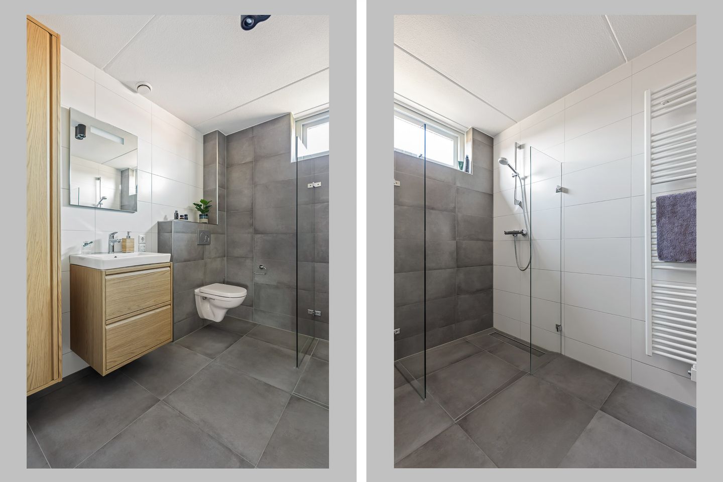 Foto 4 van Engelwortel 36