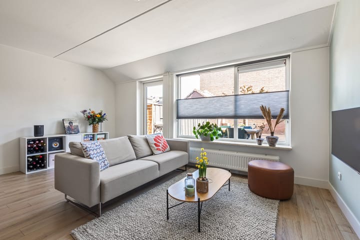 Foto 7 van Engelwortel 36