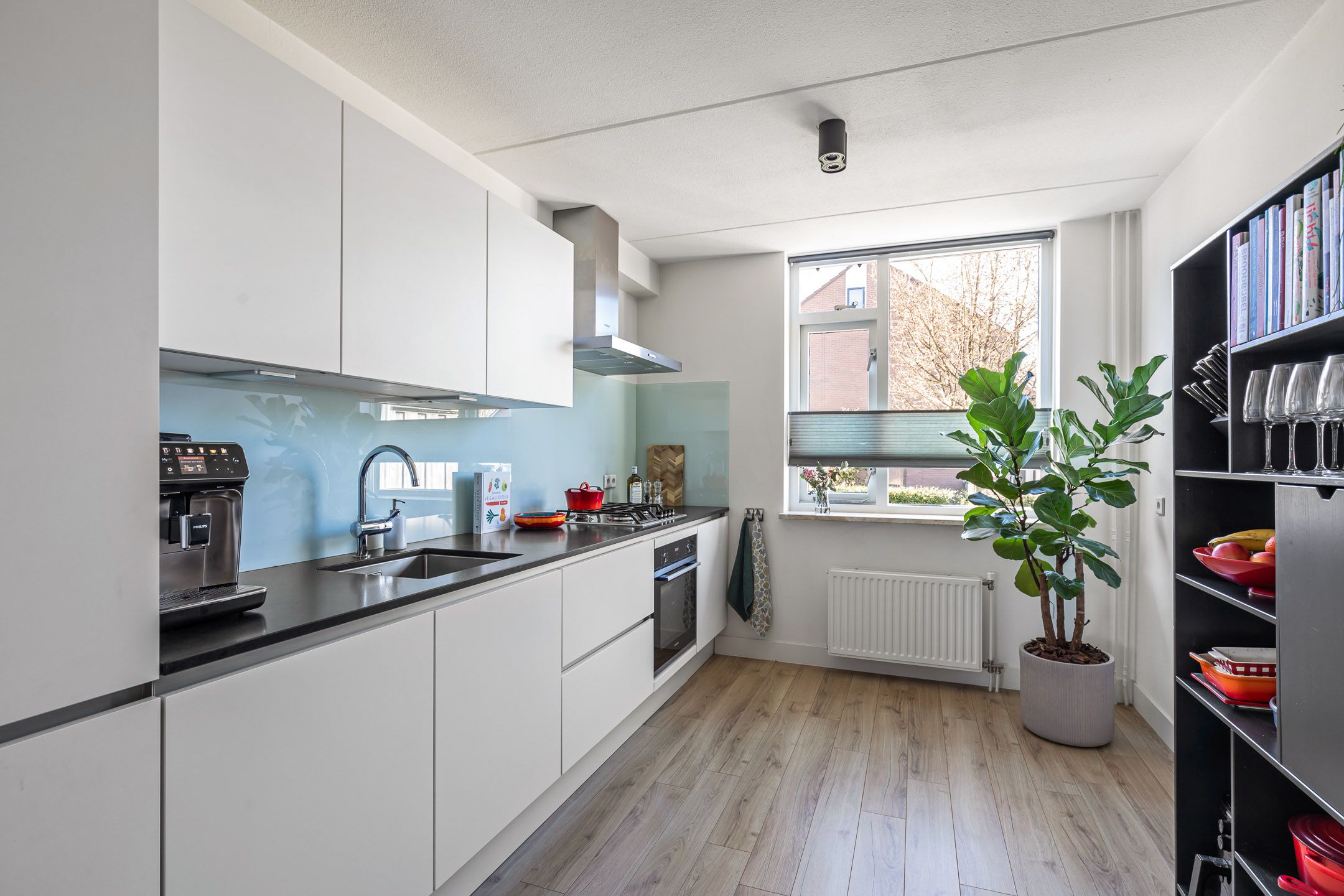 Foto 9 van Engelwortel 36