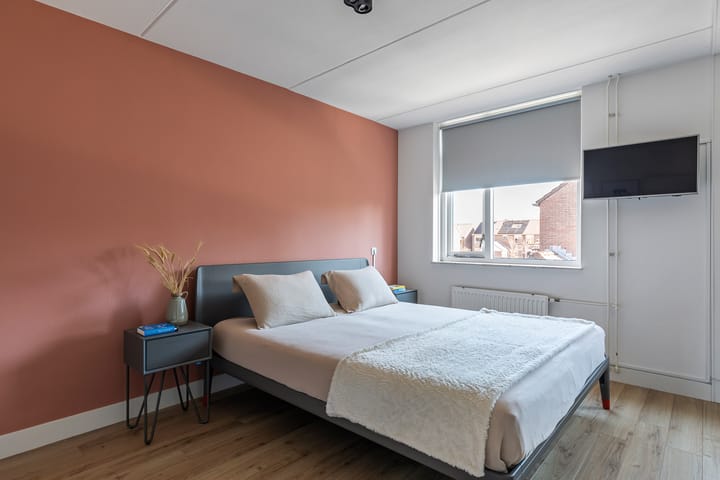 Foto 12 van Engelwortel 36