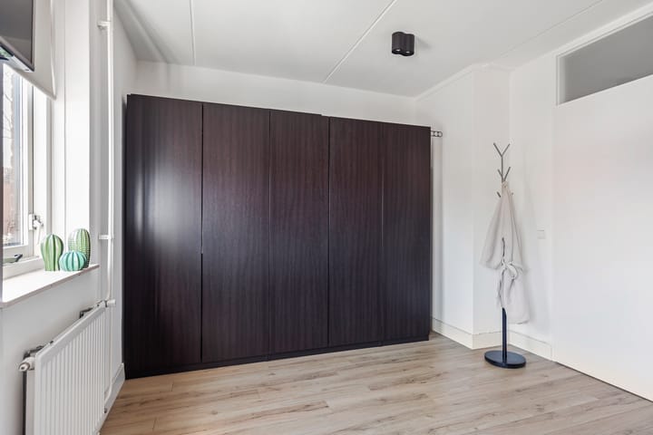 Foto 14 van Engelwortel 36