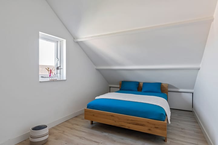 Foto 16 van Engelwortel 36