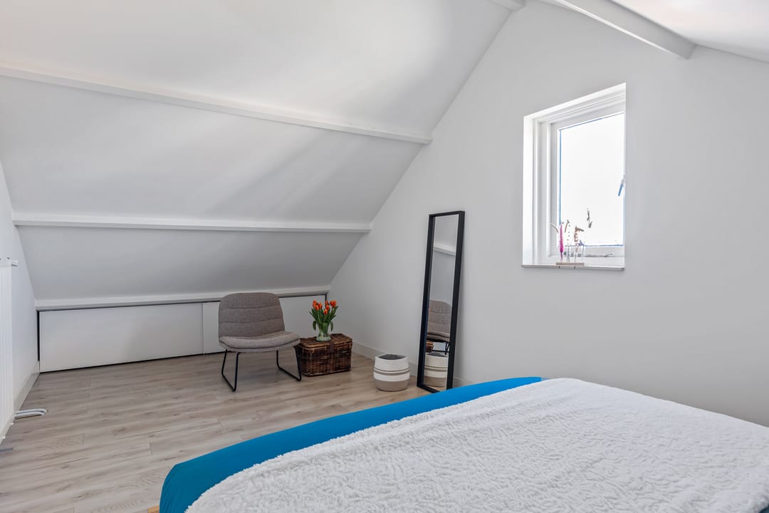 Foto 17 van Engelwortel 36