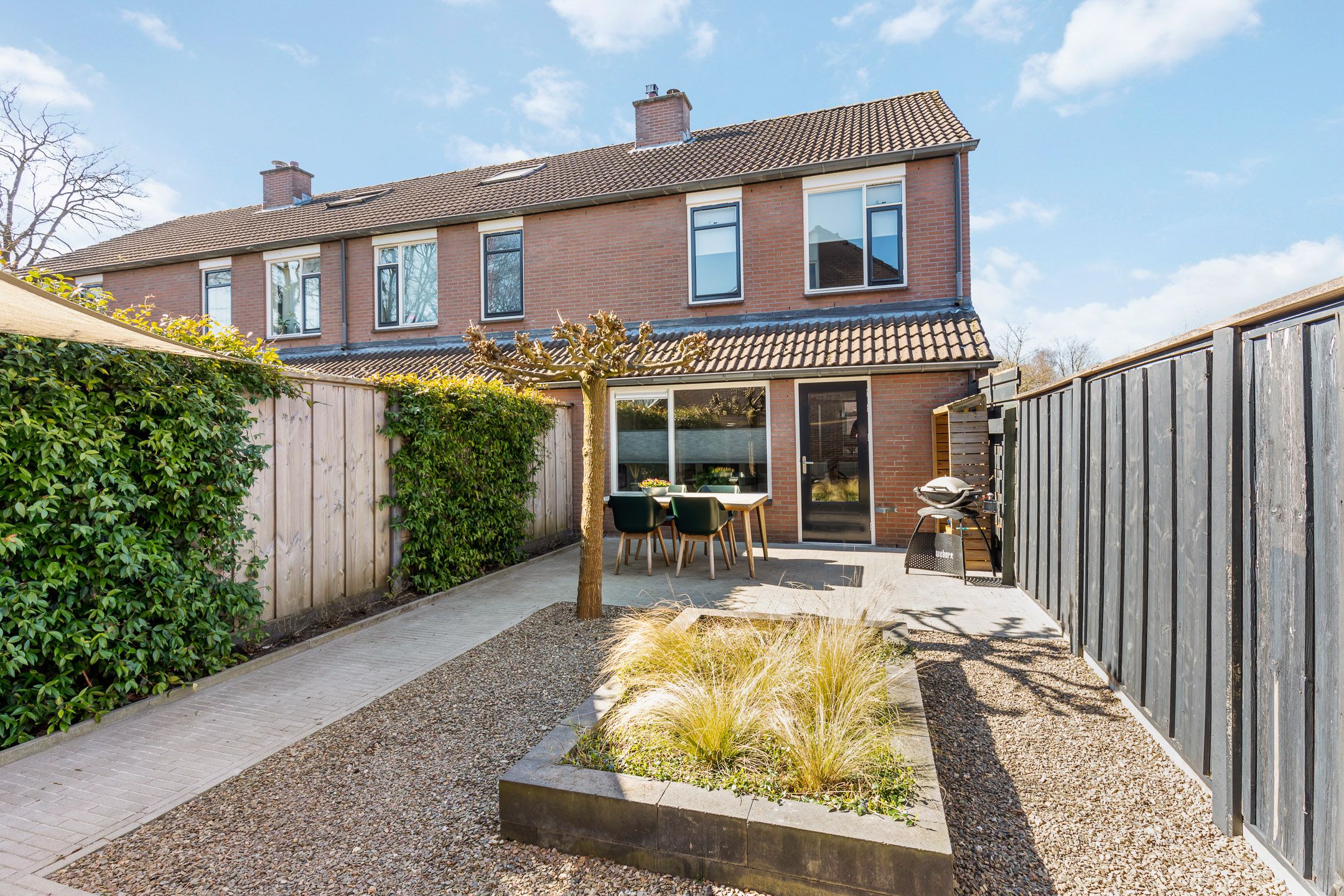 Foto 18 van Engelwortel 36