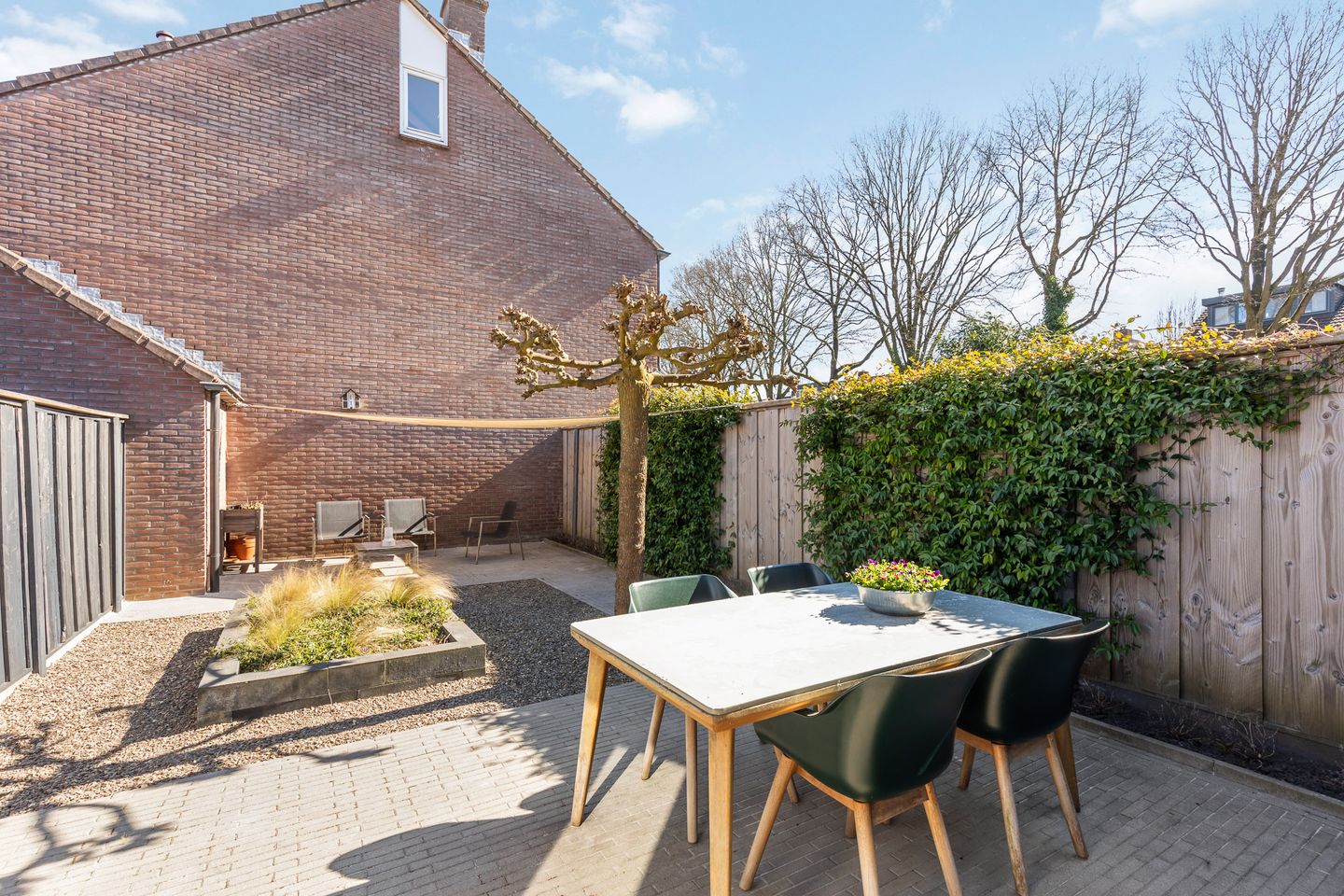 Foto 19 van Engelwortel 36