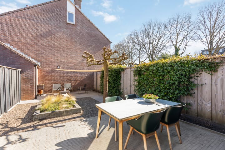 Foto 19 van Engelwortel 36