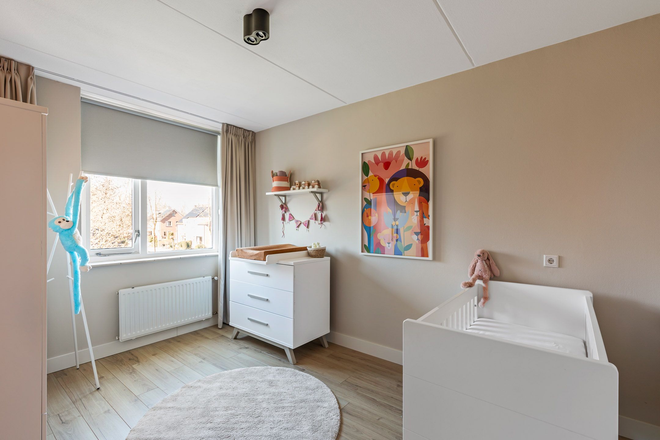 Foto 15 van Engelwortel 36