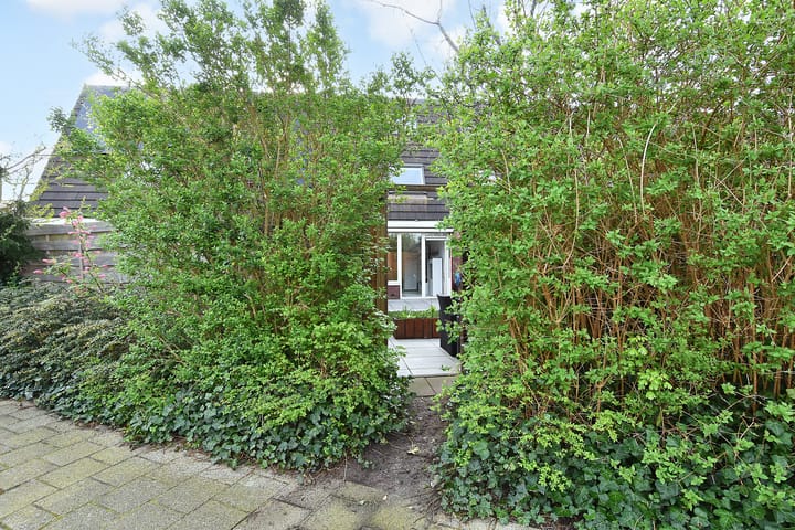 Foto 34 van van Ostade 23