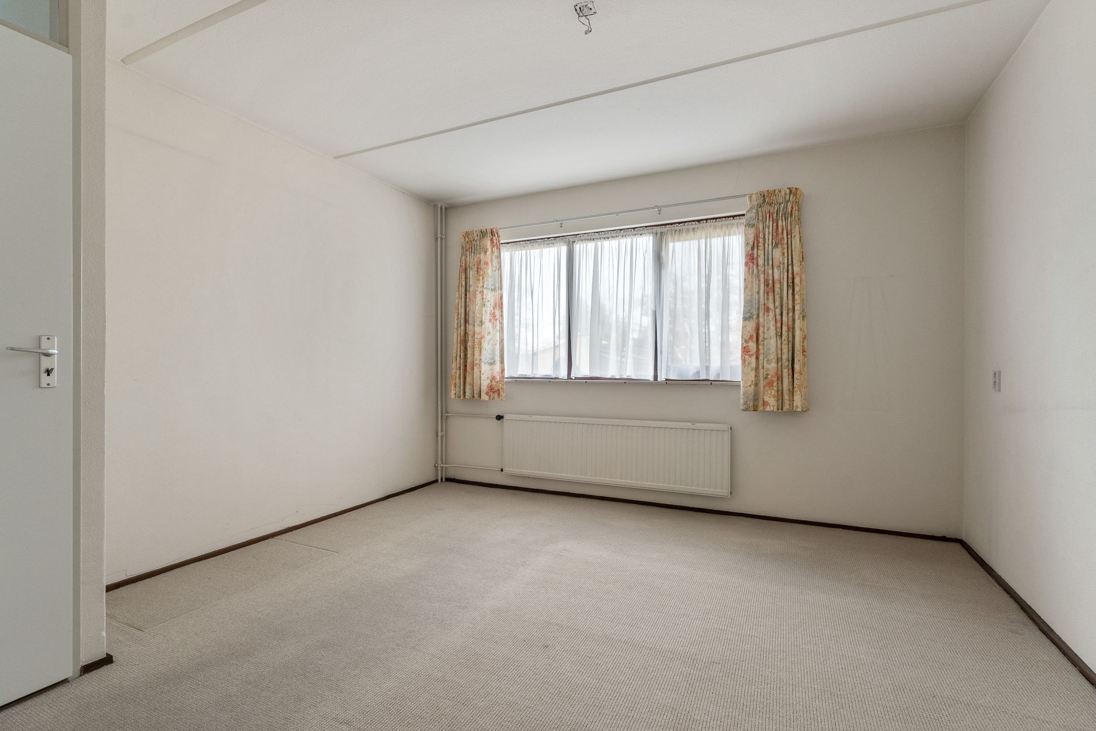 Foto 18 van Treubstraat 12