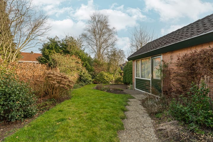 Foto 29 van Treubstraat 12