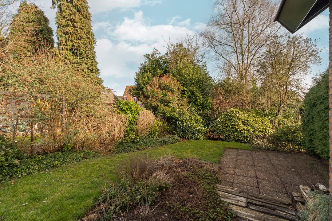 Foto 32 van Treubstraat 12