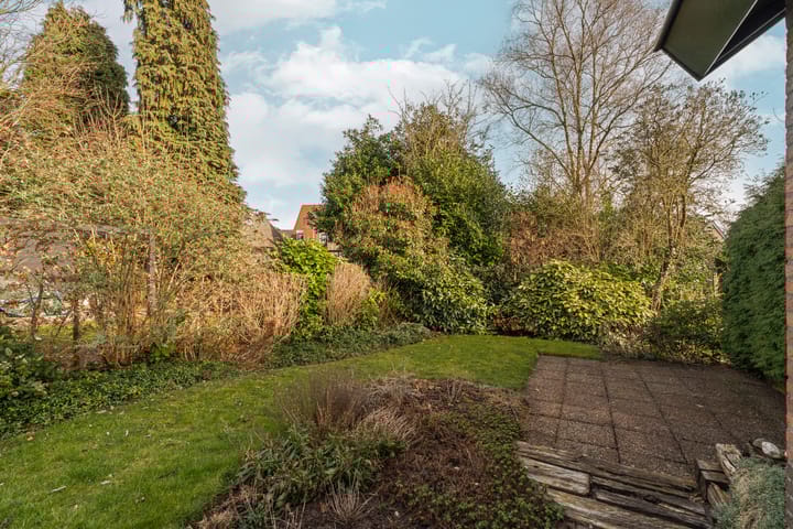 Foto 32 van Treubstraat 12