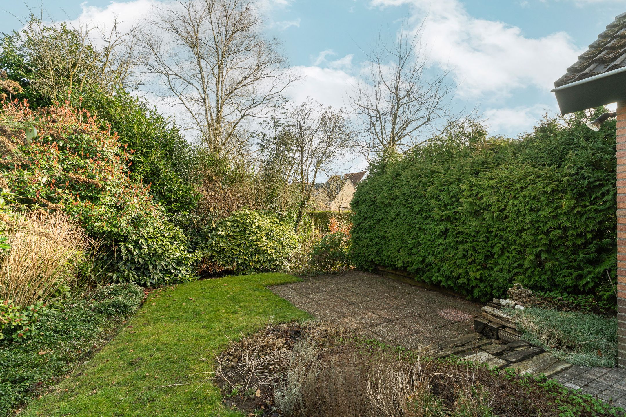 Foto 33 van Treubstraat 12