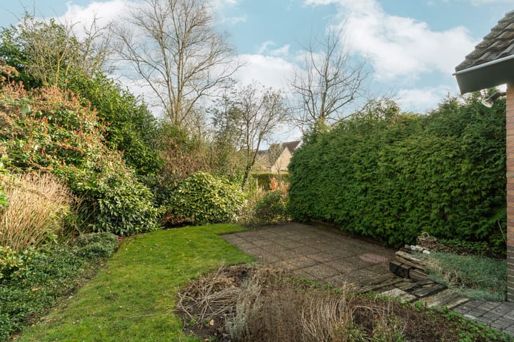 Foto 33 van Treubstraat 12