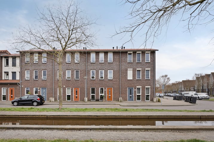 undefined main image